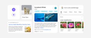 Google Search mobile redesign