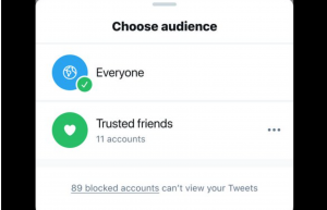 Twitter Trusted Friends