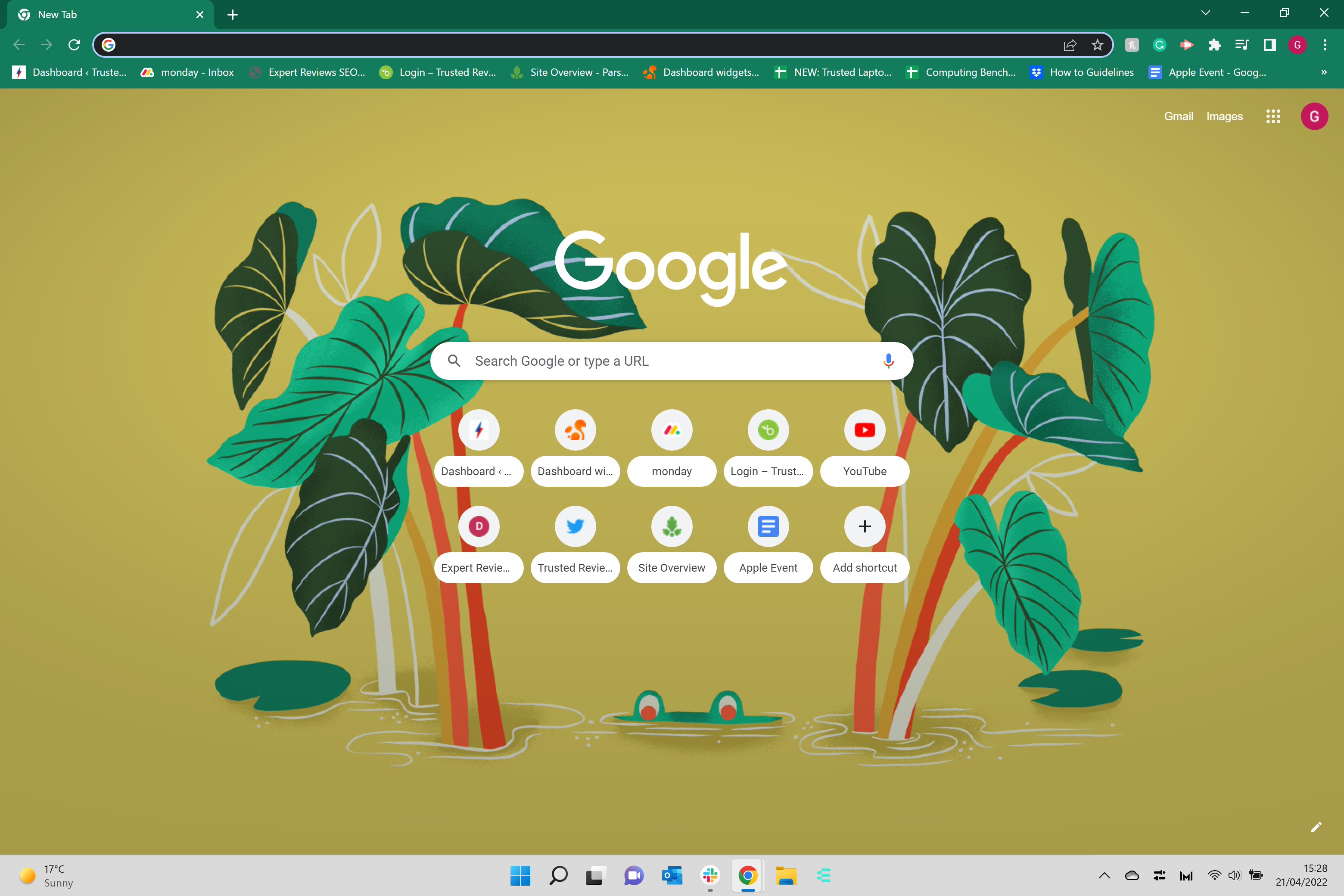 The Google Chrome page with a green theme