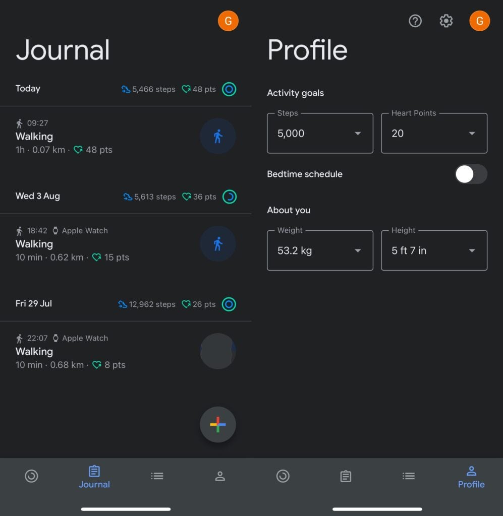 Google Fit app on iPhone showing journal